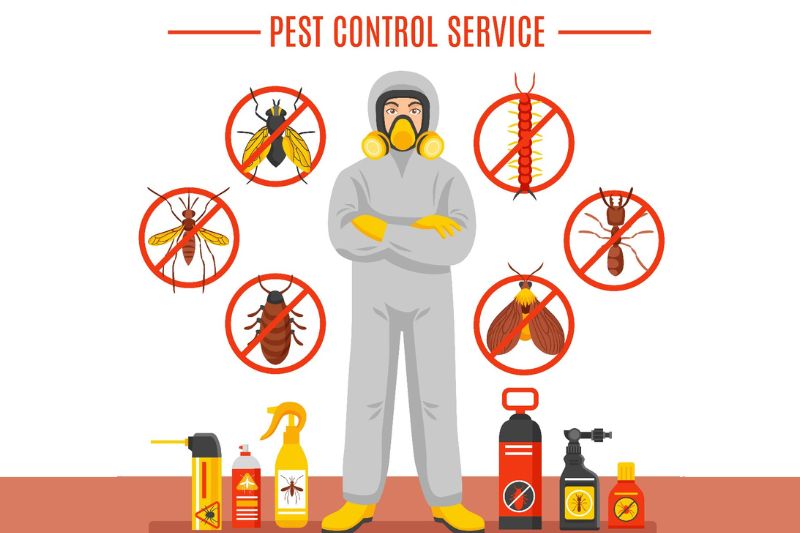 Professional pest control technician providing eco-friendly pest control services in Hyderabad